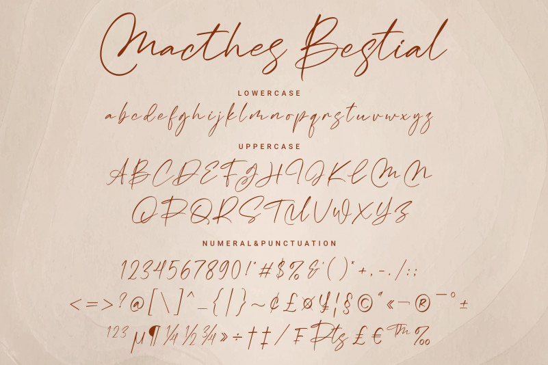 Macthes Bestial Script Font