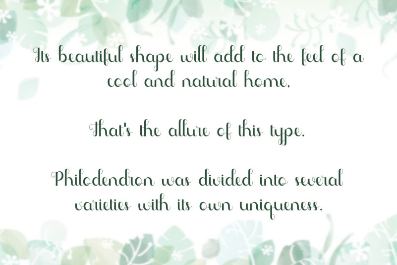 Phyllodendron Script Font