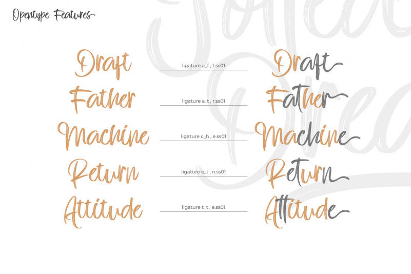 Jotted Dream Brush Font