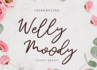 Welly & Moody Handwritten Font