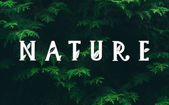 Green House Display Font