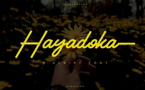 Hayadoka Script Font