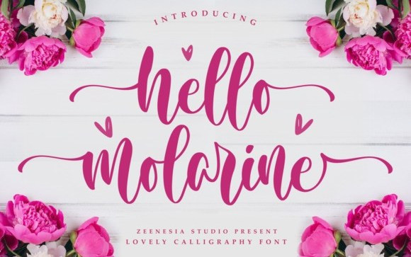 Hello Molarine Script Font