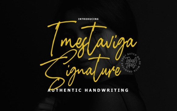 Imestaviga Signature Script Font