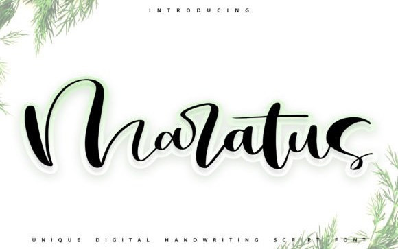 Maratus Script Font