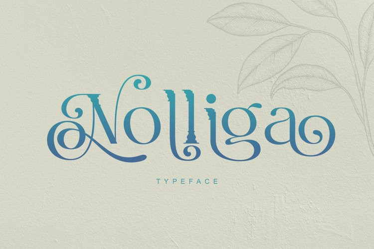 Nolliga Display Font