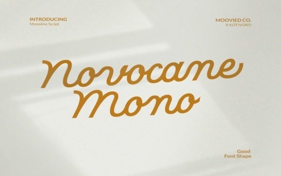 Novocane Mono Script Font