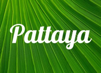 Pattaya Script Font