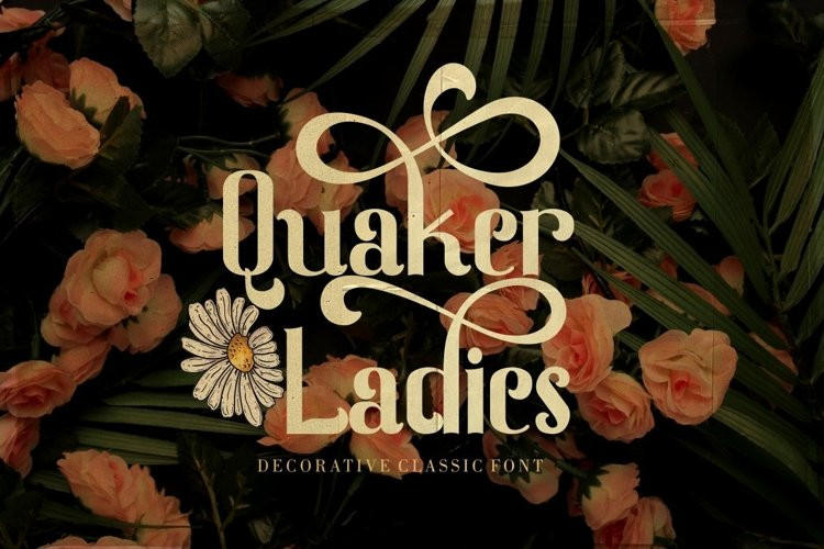 Quaker Ladies Display Font