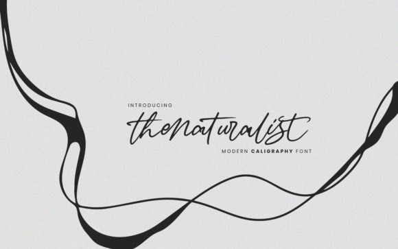 The Naturalist Script Font