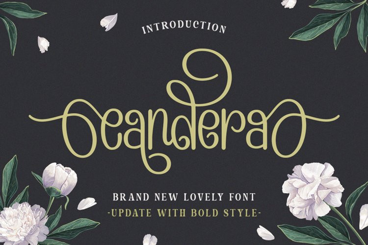 Candera Script Font