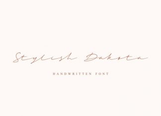 Stylish Dakota Script Font