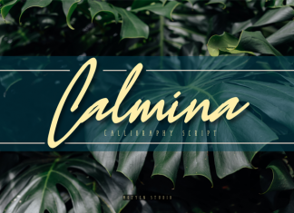 Calmina Handwritten Font
