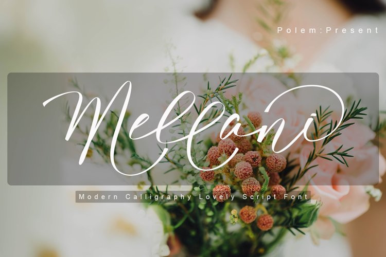 Mellani Script Font