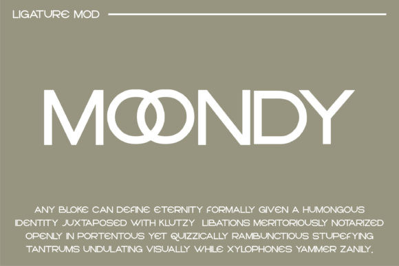 Notoch Display Font