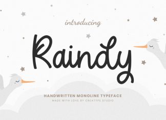 Raindy Script Font