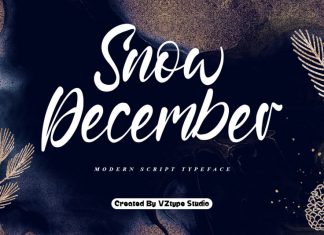Snow December Script Font