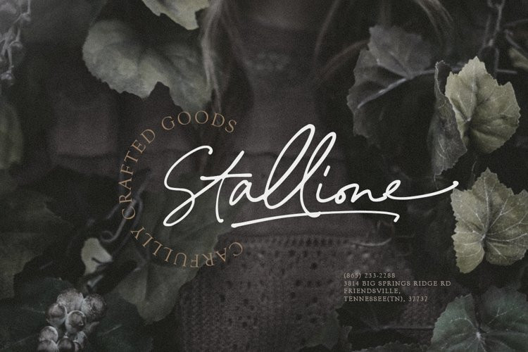 Mellodate Script Font