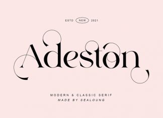 Adeston Serif Font