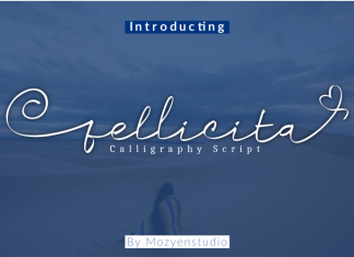 Fellicita Script Font
