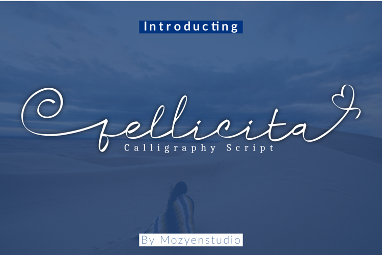 Fellicita Script Font