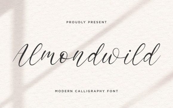 Almondwild Script Font