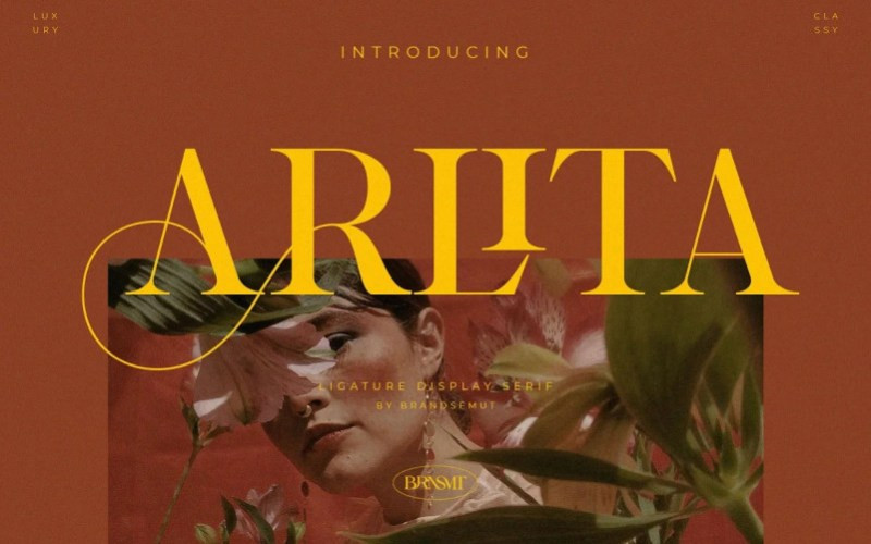 Arlita Serif Font