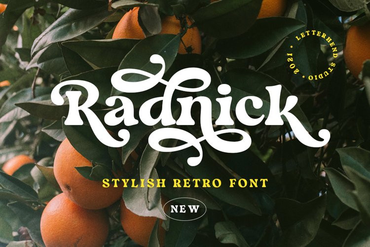 Radnick Serif Font