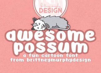 Awesome Possum Display Font