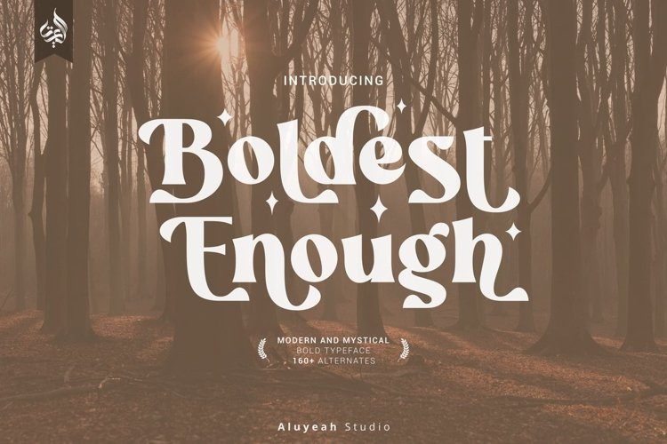 Boldest Enough Serif Font