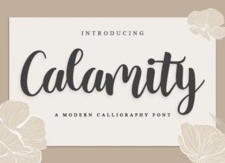 Calamity Script Font