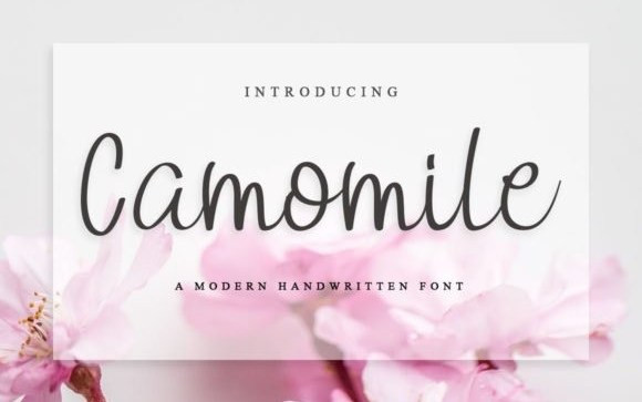 Camomile Handwritten Font