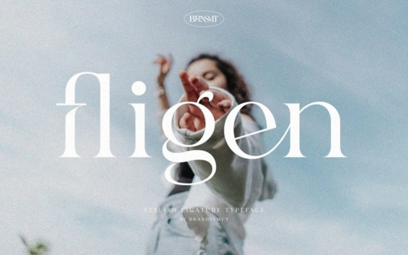 Fligen Serif Font