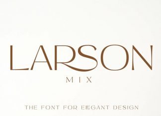 Larson Mix Sans Serif Font