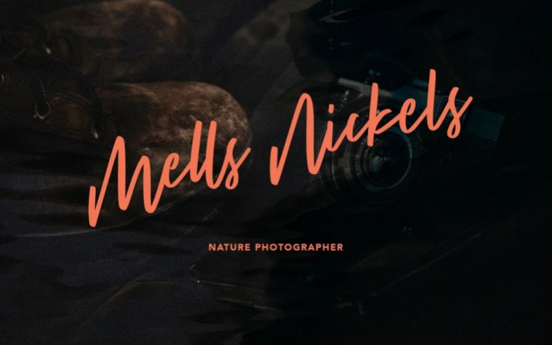 Millstream Script Font