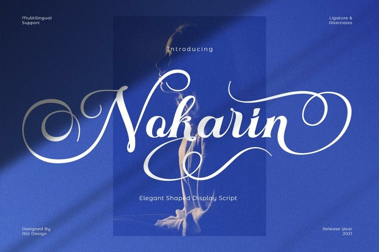 Nokarin Calligraphy Font