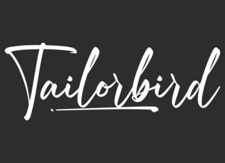 Tailorbird Script Font