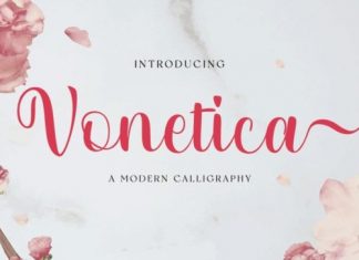 Vonetica Script Font