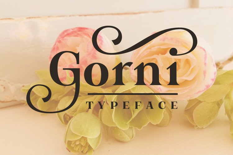 Gorni Serif Font