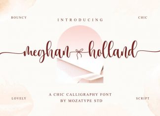 Meghan Holland Calligraphy Font