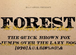 FOREST ITALIC Display Font