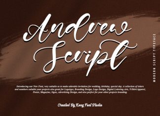 Andrew Script Font