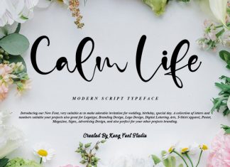 Calm Life Script Font