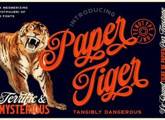Paper Tiger Font
