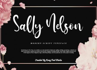 Sally Nelson Script Font