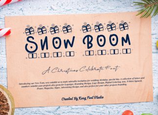 Snow Boom Display Font