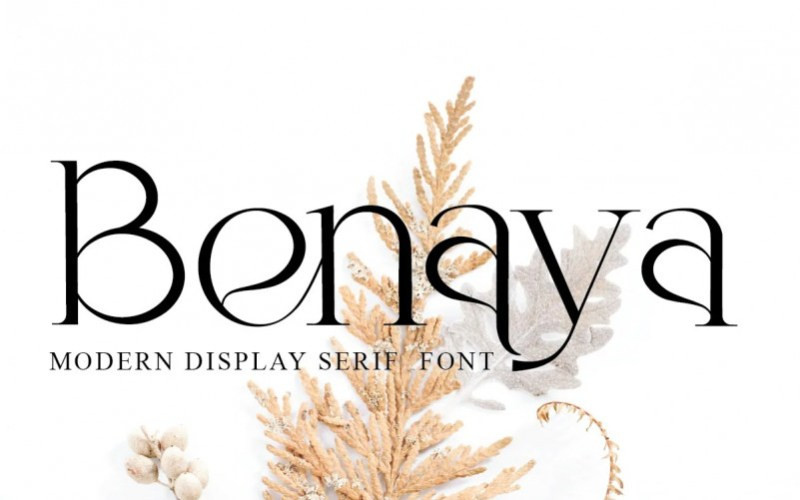 Benaya Serif Font