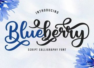 Blueberry Calligraphy Font