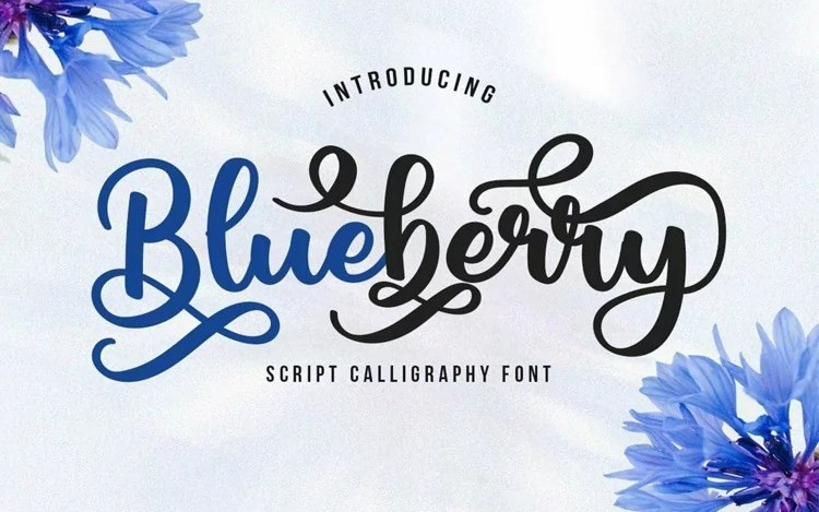 Blueberry Calligraphy Font