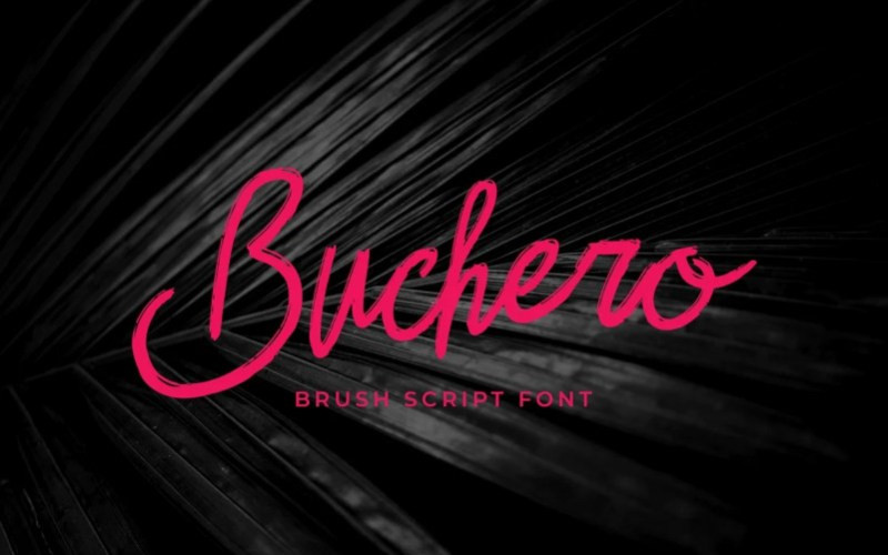 Buchero Brush Font